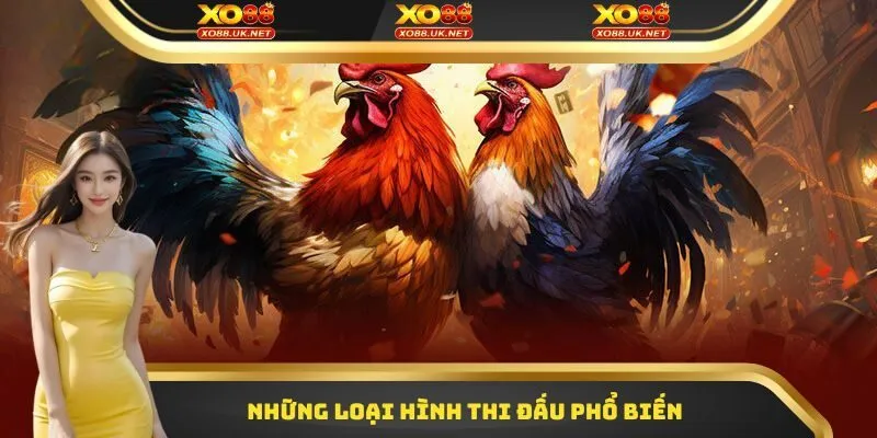 Những loại hình thi đấu phổ biến